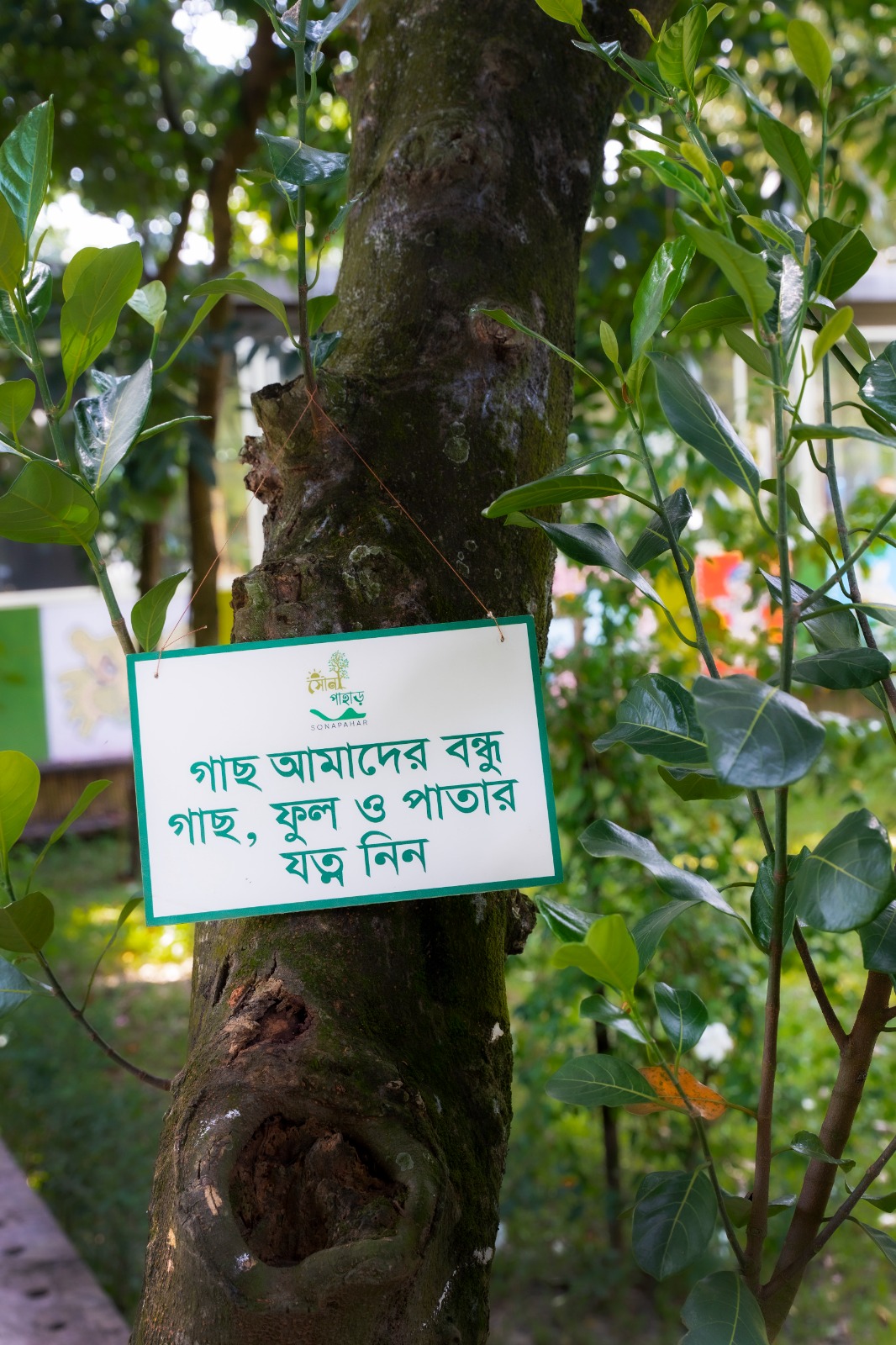 WhatsApp Image 2026-02-09 at 1.14.29 PM (1)