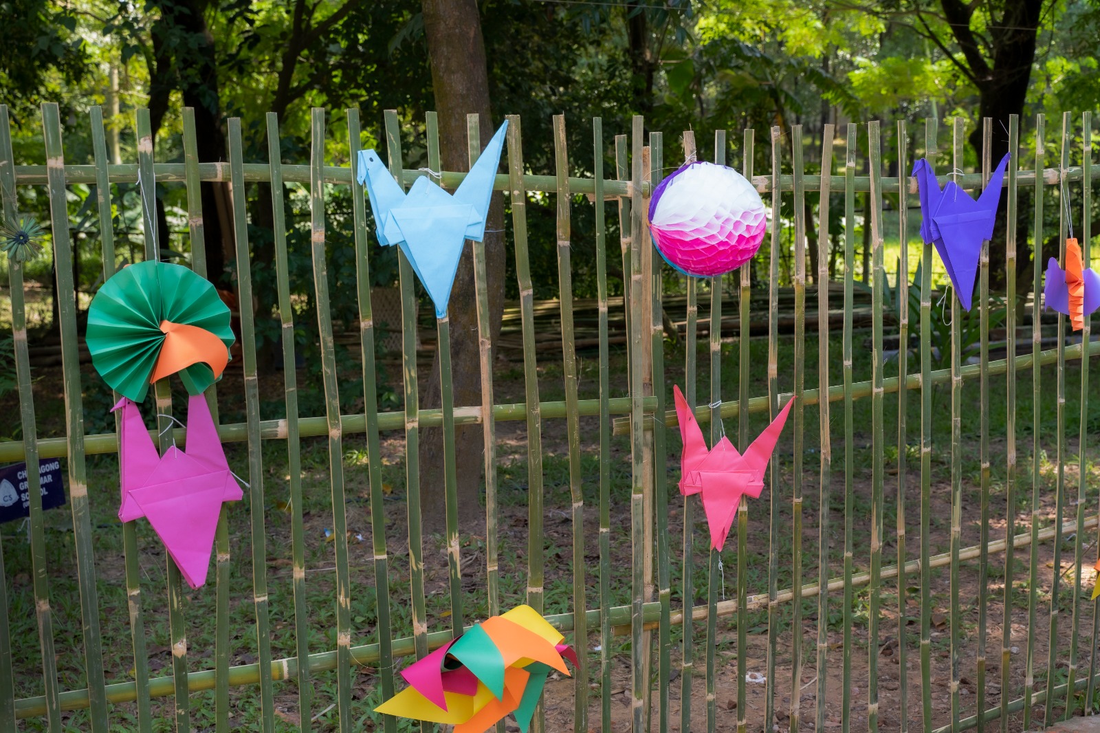 WhatsApp Image 2026-02-09 at 1.14.30 PM